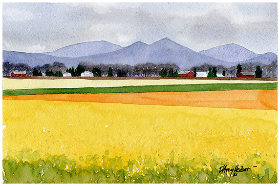 Fields of Gold